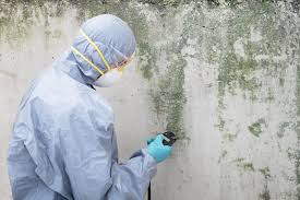 Best Mold Removal for HVAC Installations  in Ladera, CA